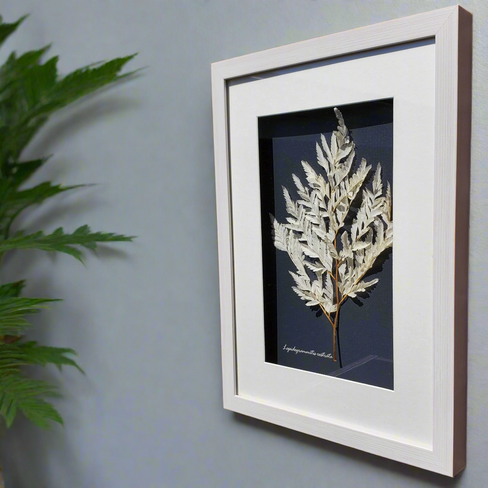 Botanical Shadow Box – Delicate Leaf (12x16in)
